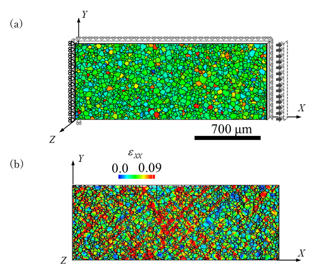 図1　チタンの顕微鏡写真（a）とその不均一な変形の数値シミュレーション結果（b）。
（b）では赤い領域に変形が集中していることを示す。