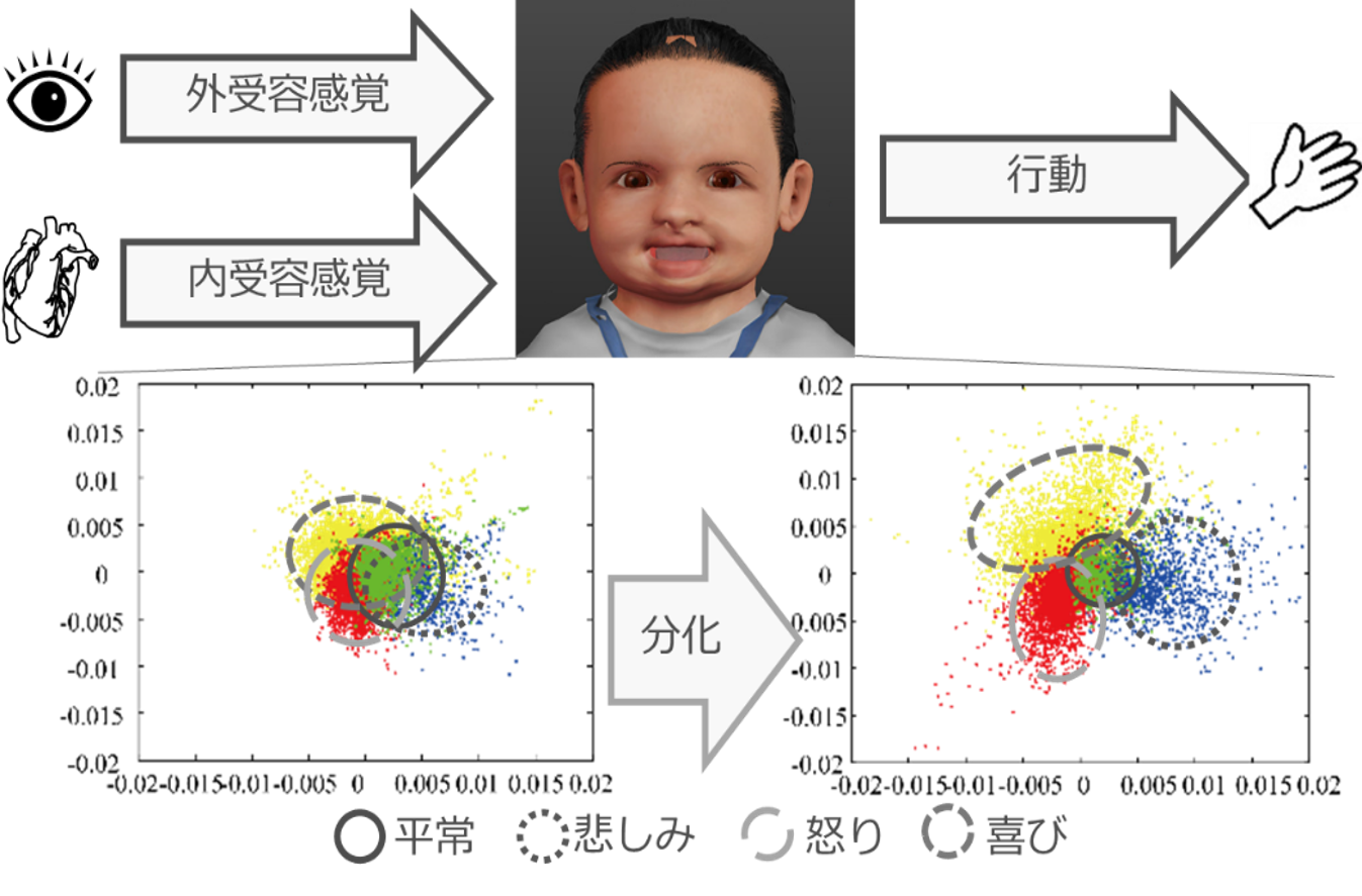 深層学習を使った感情モデルを有する赤ちゃんAIの概略図です。外受容感覚と内受容感覚の情報を統合し、行動していく中で感情を分化・学習していきます。