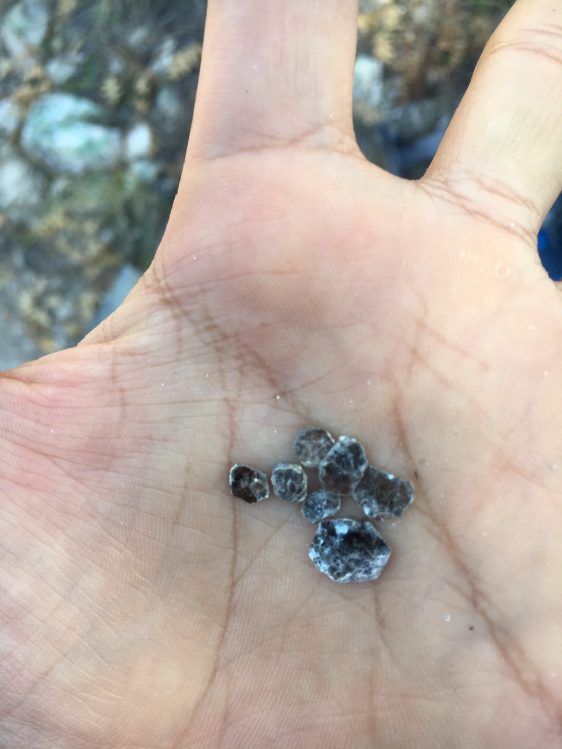 アメリカ合衆国アリゾナ州の土の中から取り出したマイカの結晶です。日本の土にこんな大きな結晶が含まれることは珍しいですが、これが小さくなったものが隠れています。