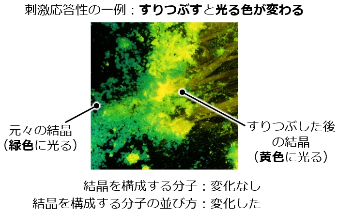 刺激応答性の一例