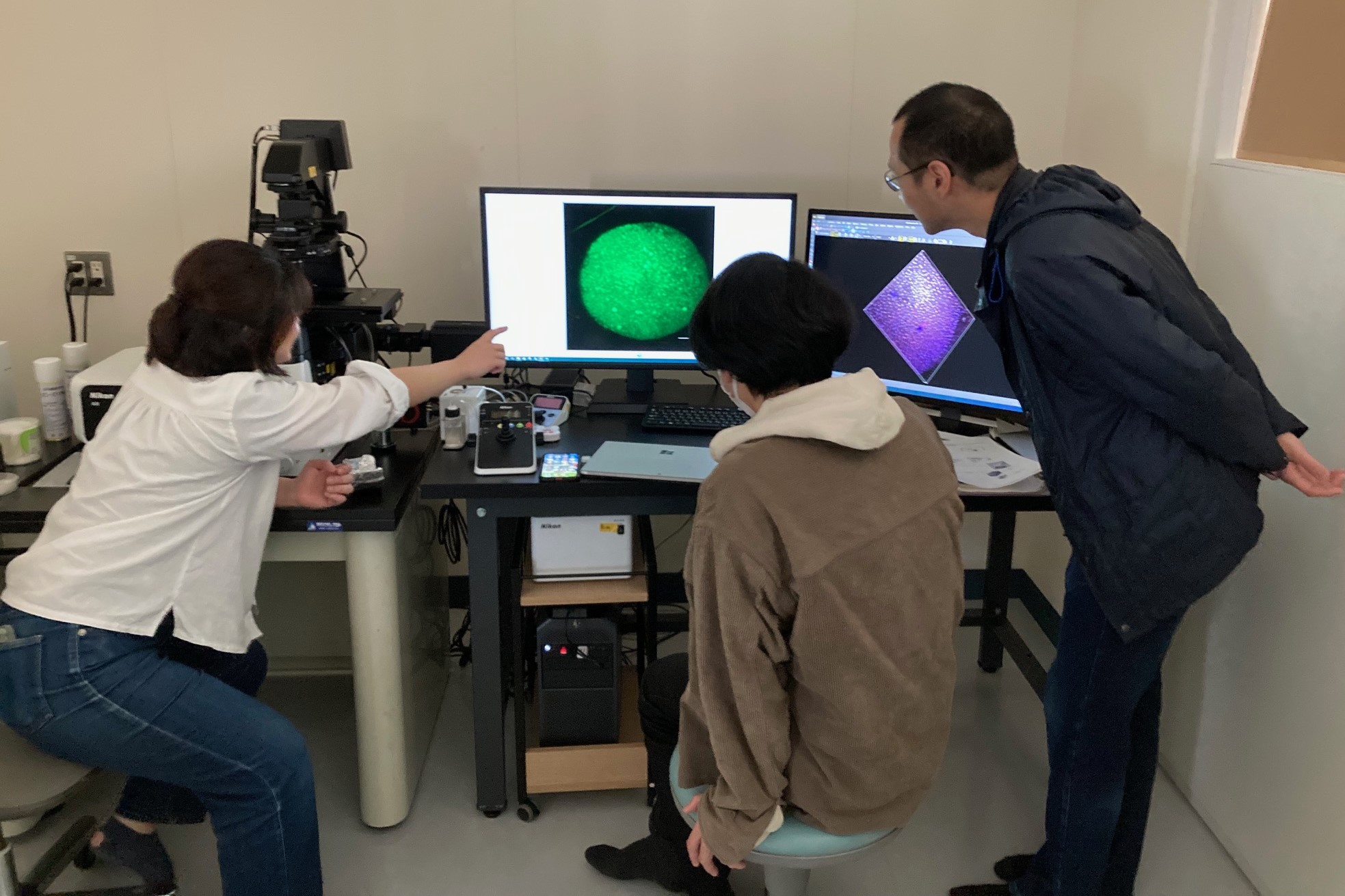 共焦点レーザー顕微鏡を用いたメダカ胚の観察風景。百聞は一見に如かず。細胞の観察を大切にしています。