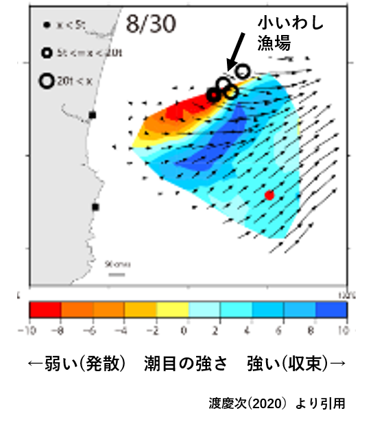 海洋レーダーの流れから推定した漁場の指標となる潮目とイワシ漁場との関係を示した図であり、海洋レーダーの水産業活用の1つの事例です。