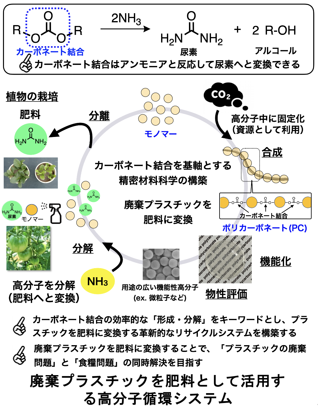 青木先生がメインテーマとしているプラスチックを肥料に変換する研究