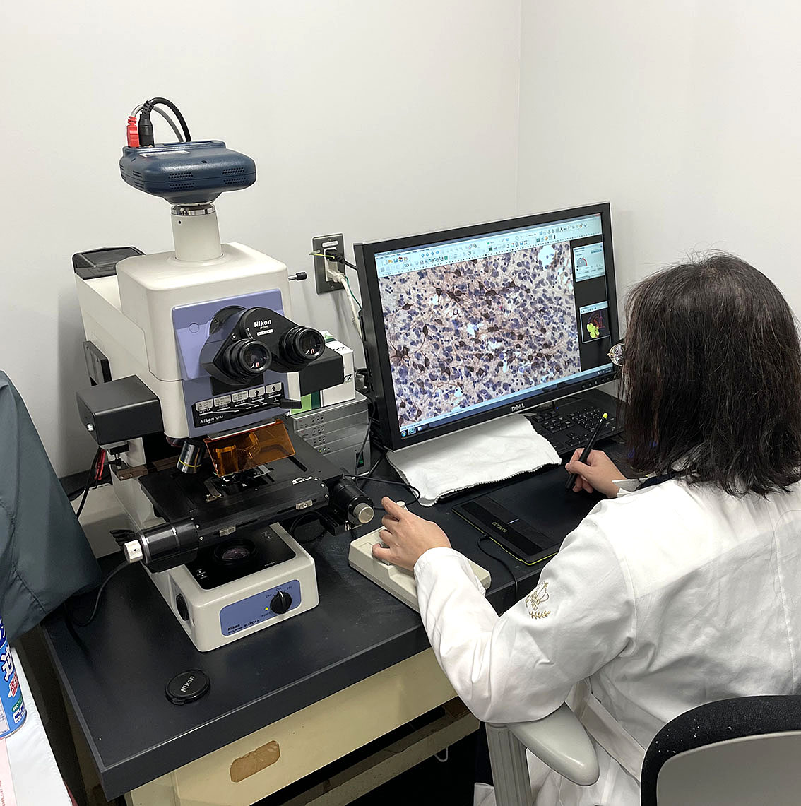 コンピュータに連動した顕微鏡システムで脳切片の染色標本のデータをとっているところです。
