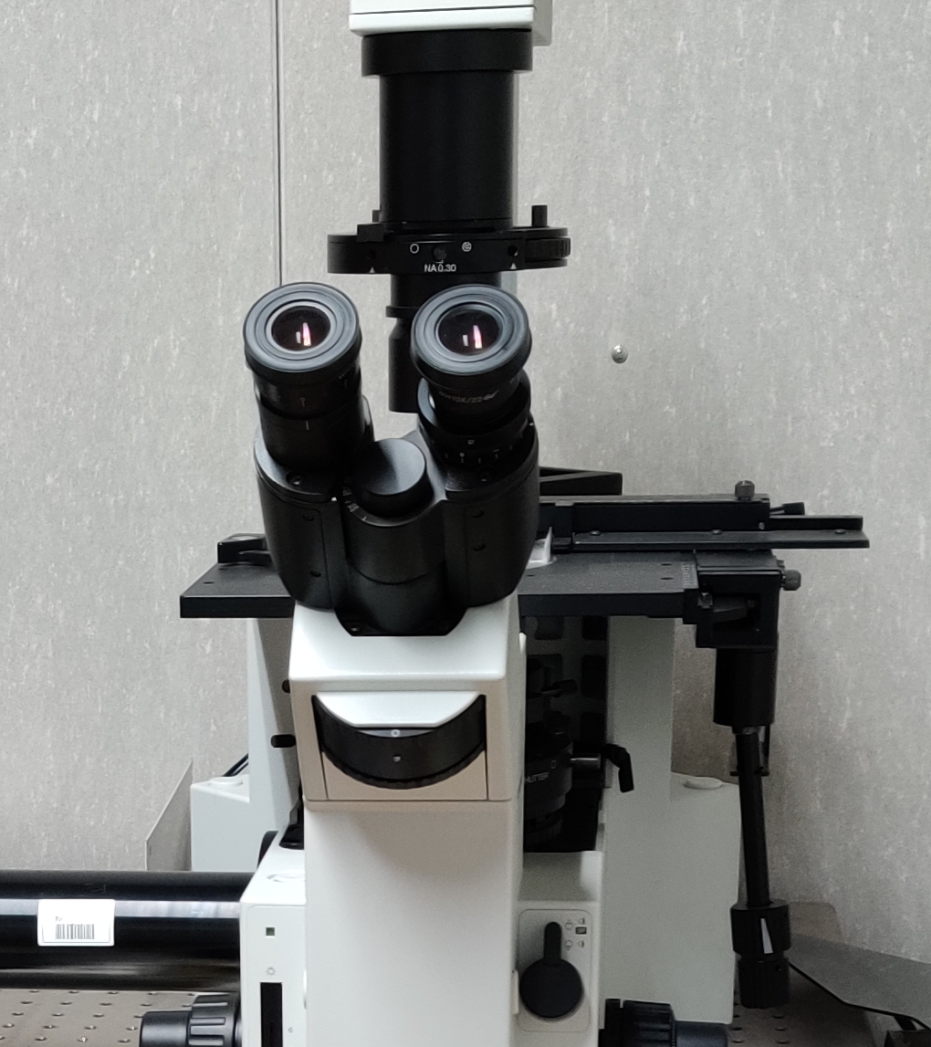 測定に利用する光学顕微鏡の写真です。ダイヤモンドから発生した赤色の光子を光学顕微鏡で集め、非常に感度の高い検出器を利用して光子ひとつひとつを測定します。