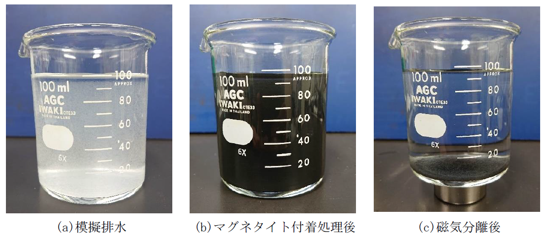 マイクロプラスチックに磁性粒子を加えたあと、下にネオジム磁石を置いて、磁気分離する様子です。