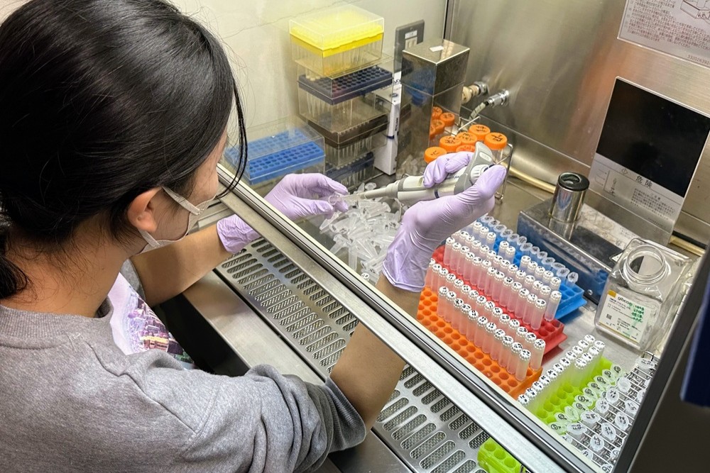 ゲノム編集に成功した細胞を見つけ出すために苦労している薬学部生