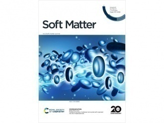 円盤状粒子の論文が学術雑誌の内表紙として選ばれました