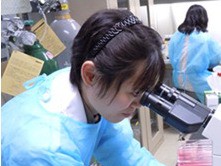 実験室での様子