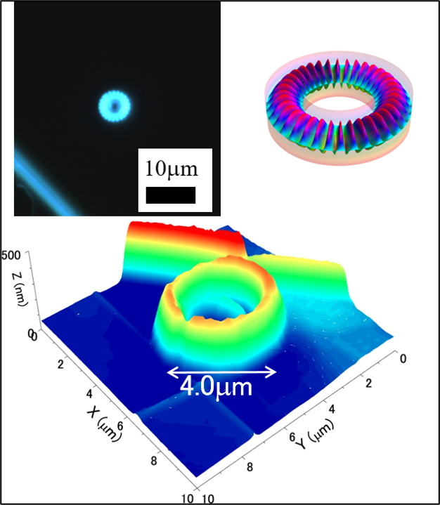 マイクロリング結晶共振器の発光顕微画像（左上）、ウィスパリングギャラリーモード概略図（右上）、原子間力顕微鏡像（下）