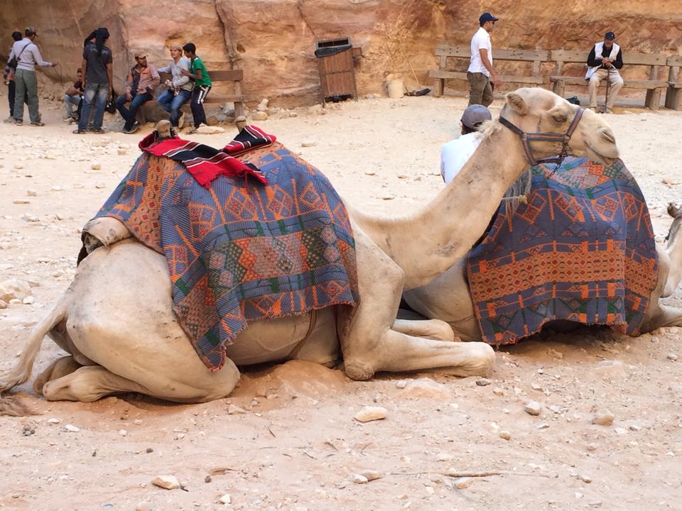 ヨルダン・ペトラ遺跡にて（2014年）