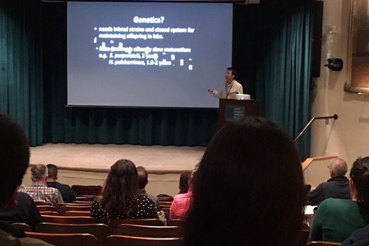 アメリカMarine Biological Laboratoryで１年半に一度開催されるウニ研究の国際学会Developmental Biology of the Sea Urchinでの発表風景。ウニを使って発生生物学・細胞生物学・進化生物学・ゲノム生物学等の研究を行なっている世界中の研究者や学生が集まり発表と議論を４泊５日の泊まり込みで行います。