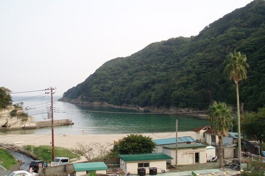 所属先である筑波大学下田臨海実験センターの前に広がる鍋田浜。とても美しいビーチで泳いで魚を採集して飼育することを趣味にしています。また、実際に生き物は自然の中で生活しているということを実感できる環境でもあります。大学に入って研究を始め、特にDNAやタンパク質といった分子の働きに着目するようになると、実験で用いる生物は飼育しやすいモデル生物になります。その環境が続くと、それらの生物が自然のなかでどのように振舞っているのかという感覚がおろそかになりがちです。そんな時は少し海で泳いでみれば、生き物は我々ヒトも含めて自然の中の一部であるというごく当たり前の感覚を取り戻すことができるので、生物学者の仕事場としてはとても良い環境だと思います。