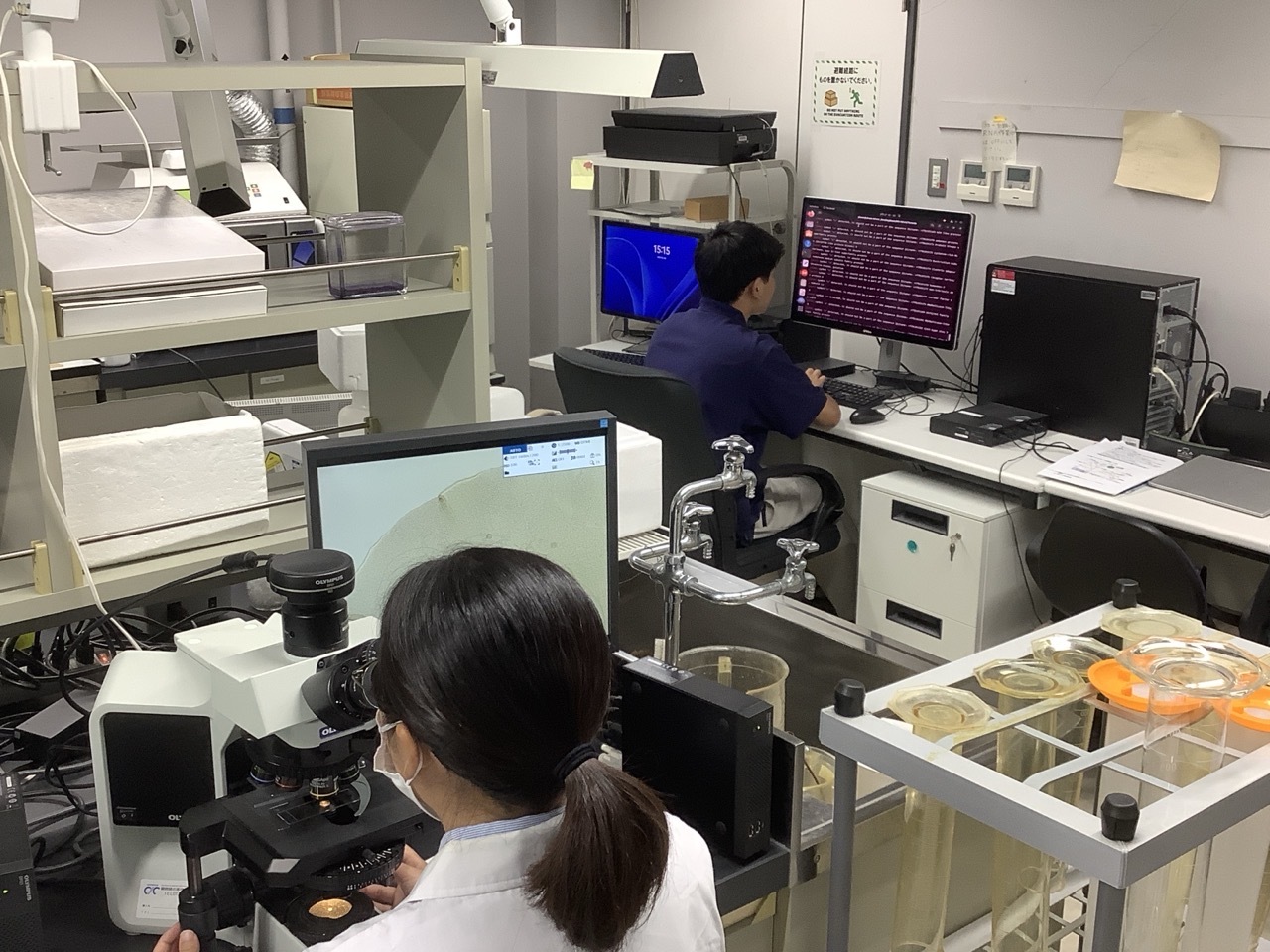 実験室の様子です。Wet（生物学実験）もDry（コンピュータ解析）も。