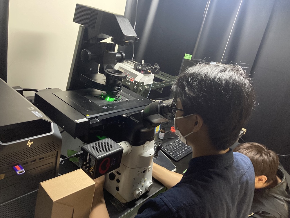 精製したタンパク質の動きを蛍光顕微鏡で観ています。