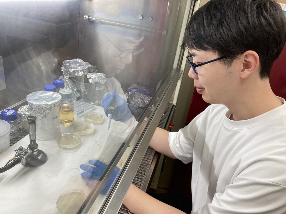 大腸菌を使ってタンパク質を準備するので、クリーンベンチは大活躍です。