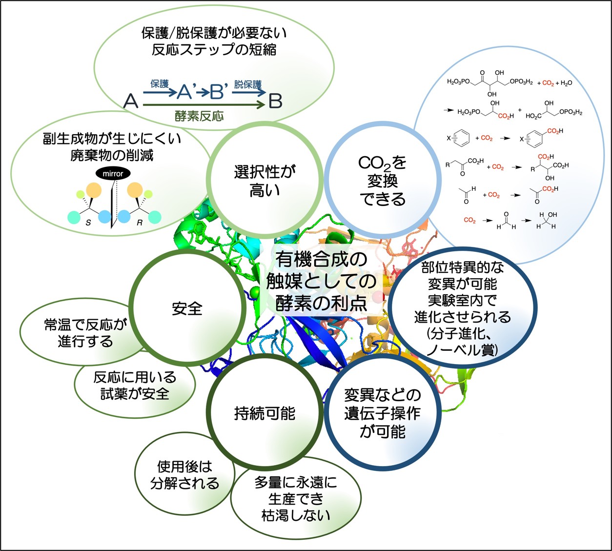 酵素を有機合成に用いるメリット：環境に優しいのみならず、様々なメリットがあります。
