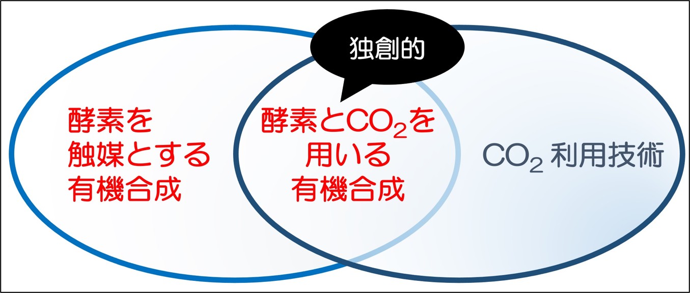 松田研究室のグリーンケミストリーの研究：酵素と二酸化炭素を利用する独創的な研究を行っています。