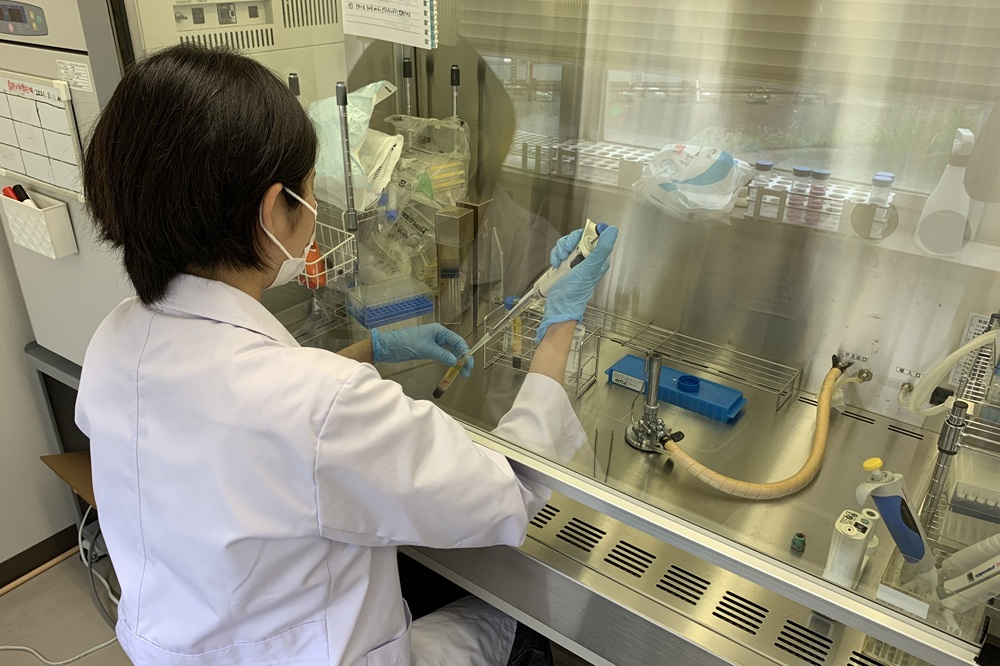大学院生が、血液の中から単球やリンパ球という細胞を分離している様子です。安全キャビネットという設備の中で、細菌などが混入しないように気を付けながら作業します。