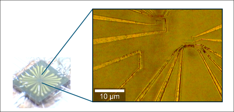 小さい物質を測定するために5mm角の基板に電極を作りこんでいます。