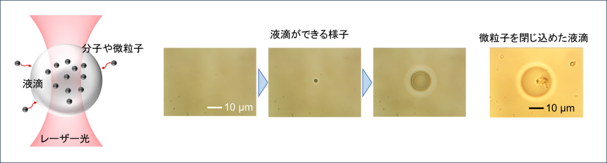 光の力による液滴形成と液滴中への微粒子の捕集