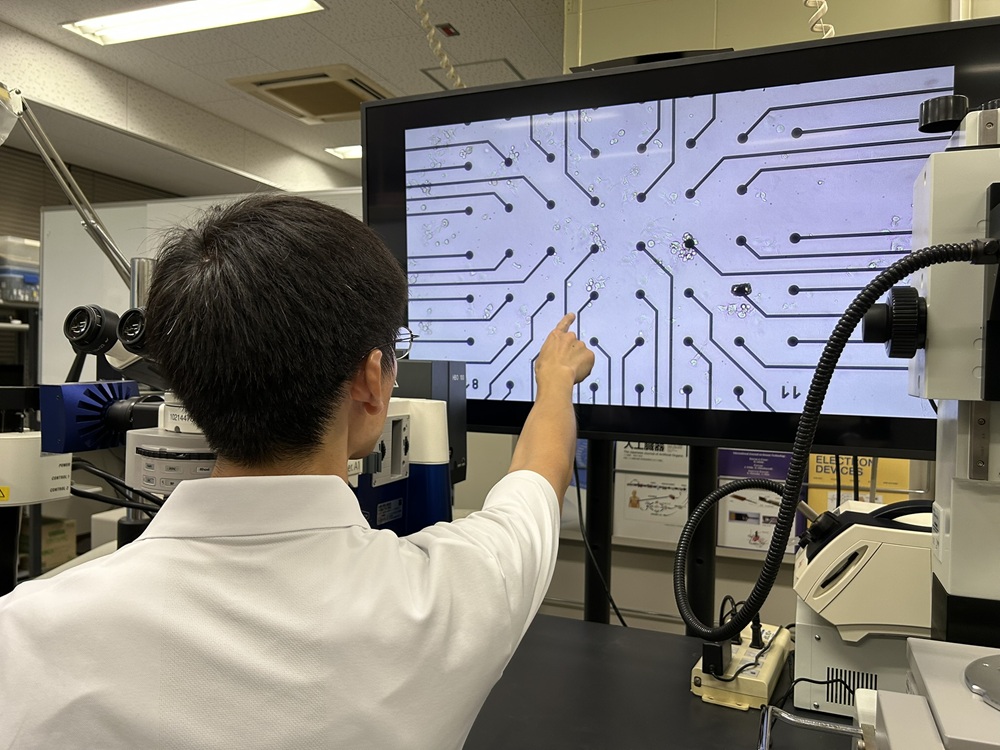 微細な電極の上に播種した培養細胞の様子を確認しています。