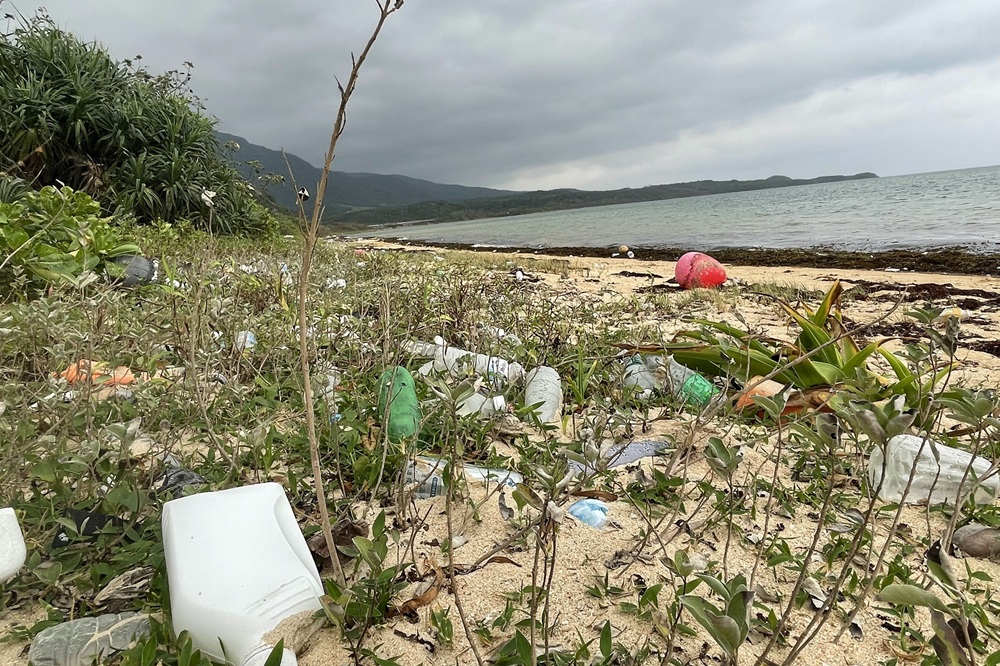 プラスチックごみによる化学物質汚染を調べに、沖縄の離島に行くこともあります。