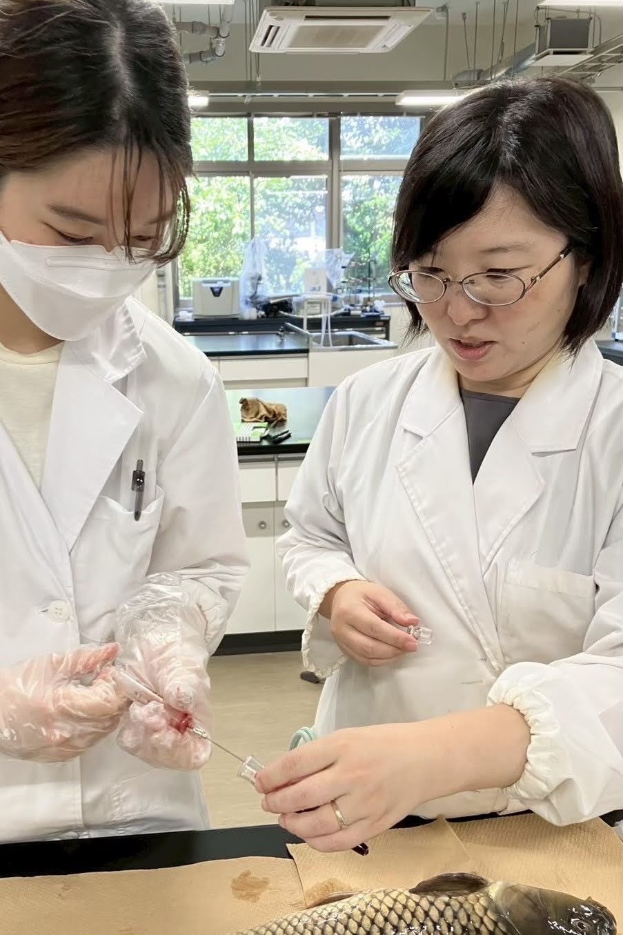 学生と一緒に実験する様子。生物に蓄積する化学物質も追っています。