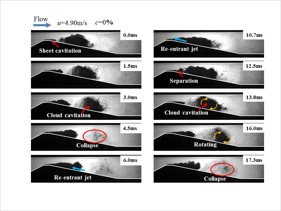 回流水槽に縮流モデルを設置し、キャビテーション（気泡雲）を発生させたときの一コマ。キャビテーションの発生周期、規模、崩壊する位置と衝撃力などを調べています。