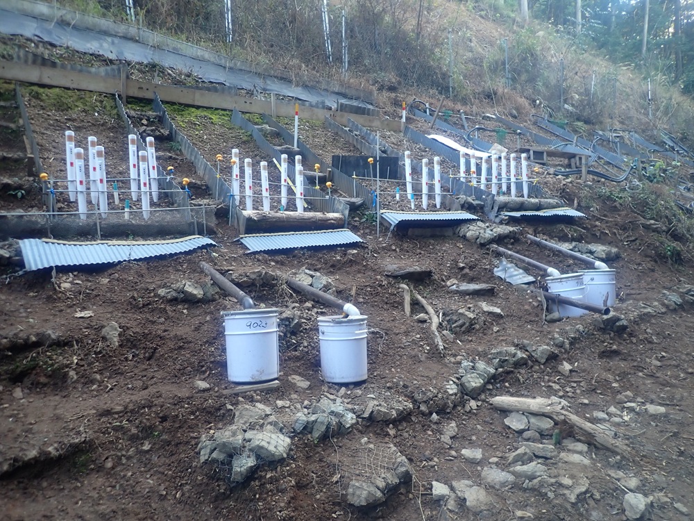 実斜面で簡便工と降雨浸透の計測のためのセンサーを設置した区画