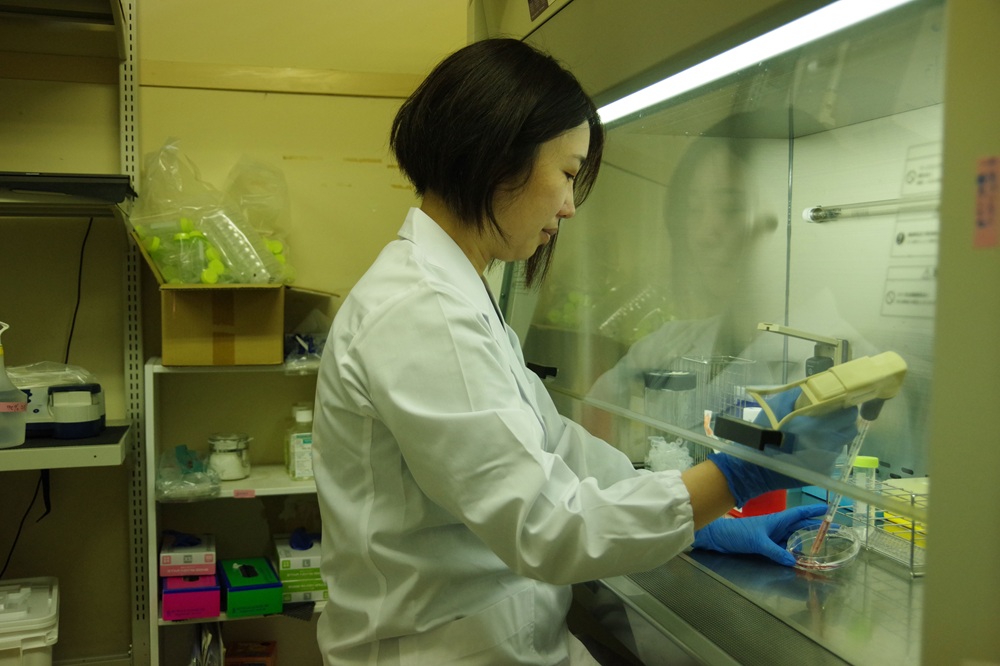 病原体を安全に扱うため、安全キャビネットという装置を用いて実験を行います。