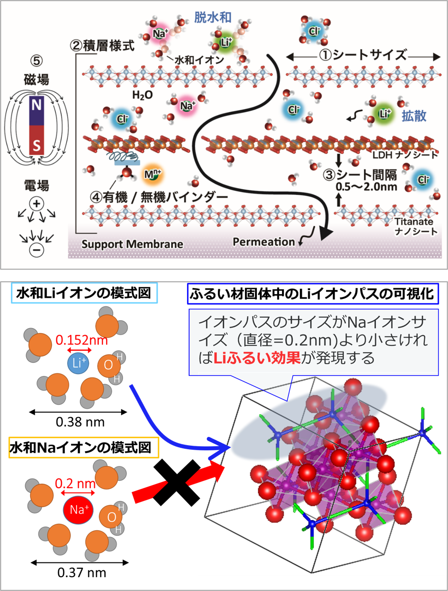 上：ナノシート積層膜がイオンを分離するメカニズムを表しています。
下：無機イオン交換体が選択的にリチウムイオンを吸着する様子を示しています。
