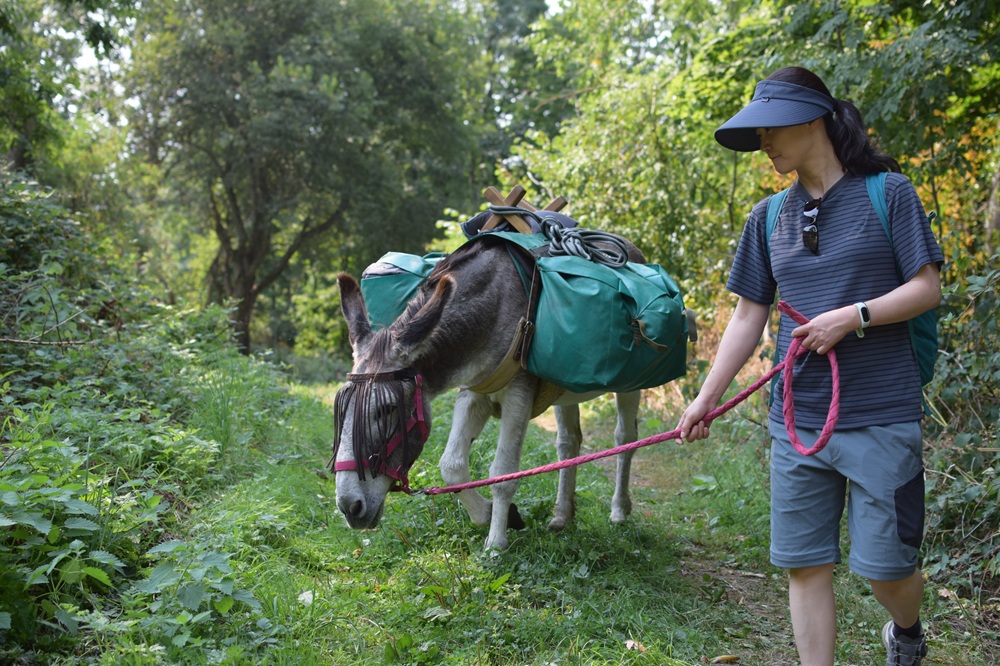 今年ついに、フランスの共同研究者とともに、長年の夢だった「ロバと歩く旅」に出かけました。私は日本学術振興会の特別研究員PDとして初めてフランスに渡り、INRAEの研究室で研究をして以来、このラボの研究者たちと家族ぐるみの交流を続けてきました。研究のことだけでなく、家族や働き方など、人生に関わるさまざまな話をしています。研究を通じて、世界が大きく広がり、同時に人との距離が近くなったことは、私にとって本当にありがたいことだと感じています。