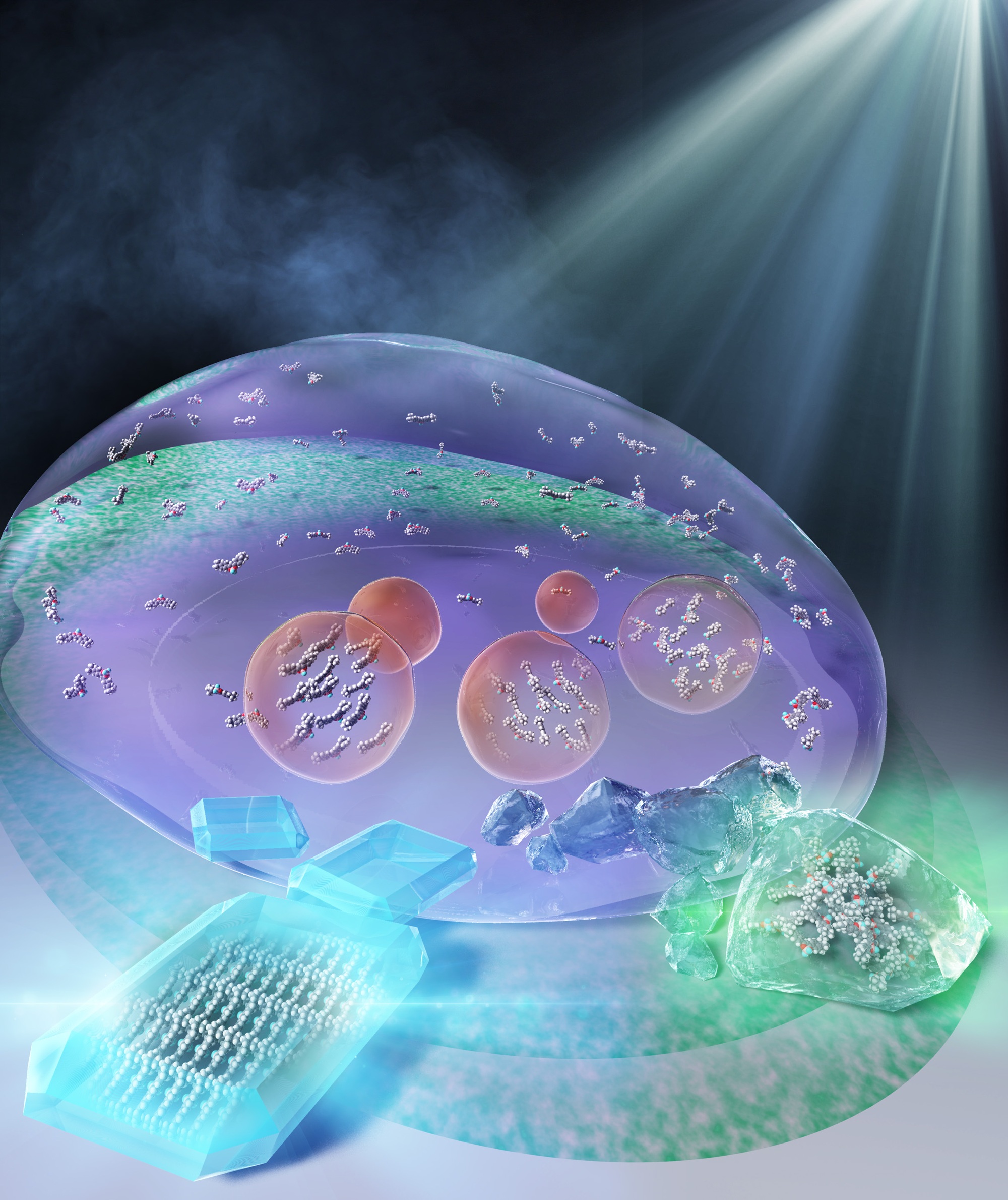 溶媒蒸発による結晶化の蛍光観察の模式図