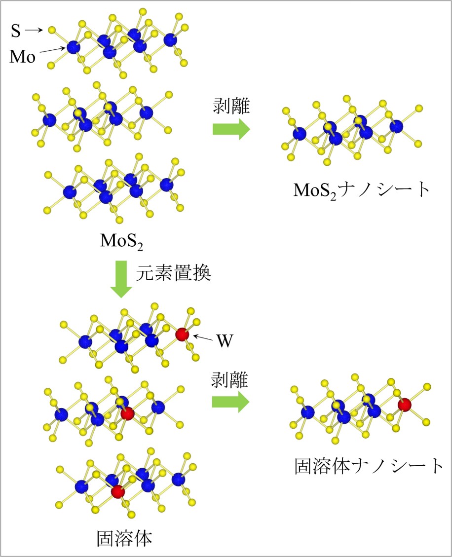 遷移金属ダイカルコゲナイドの固溶体ナノシートの説明図
(左上)遷移金属ダイカルコゲナイドMoS<sub>2</sub>、(右上)MoS<sub>2</sub>ナノシート、
(左下)Wで置換した固溶体、(右下)固溶体ナノシート

※構造の描写にはVESTA(J. Appl. Crystallogr., 44, 1272-1276 (2011).)を使用