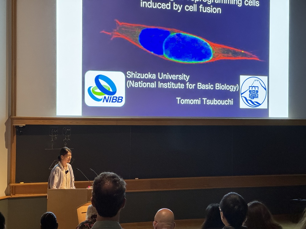 国際会議にて発表