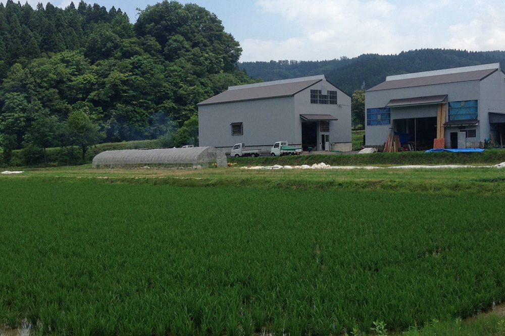 新潟県の中山間の水田です。この水田を耕作するのはなんと日本酒を製造する酒蔵さんです。近年では、製品の差別化やコメ生産者の減少による調達リスクへの対応として、自ら酒米を生産する酒蔵が増えてきました。