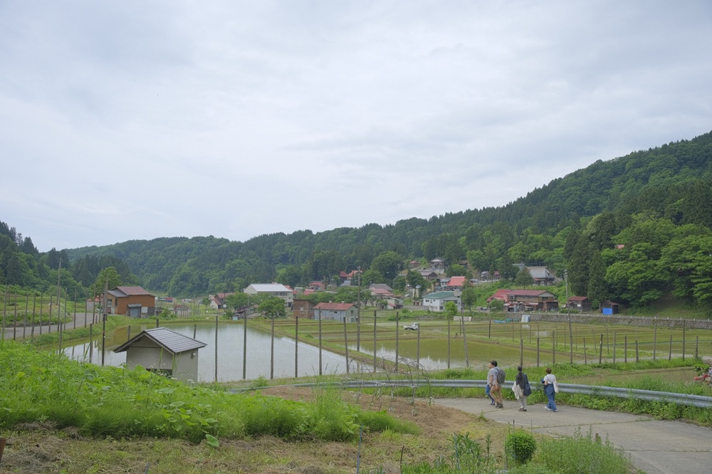 田植えの頃のF地区。豪雪で地すべりの多い場所ですが、緩やかな棚田では雪解け水で美味しい米を作っています。