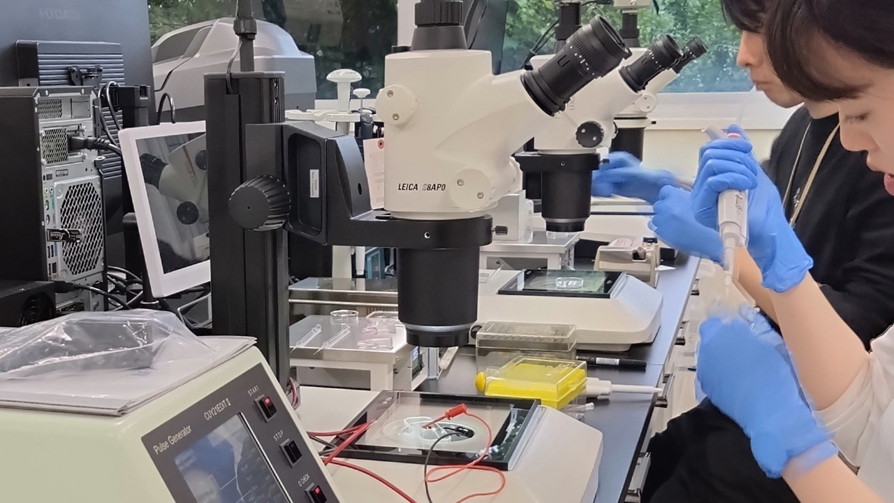 受精卵のゲノム編集を実施しています。