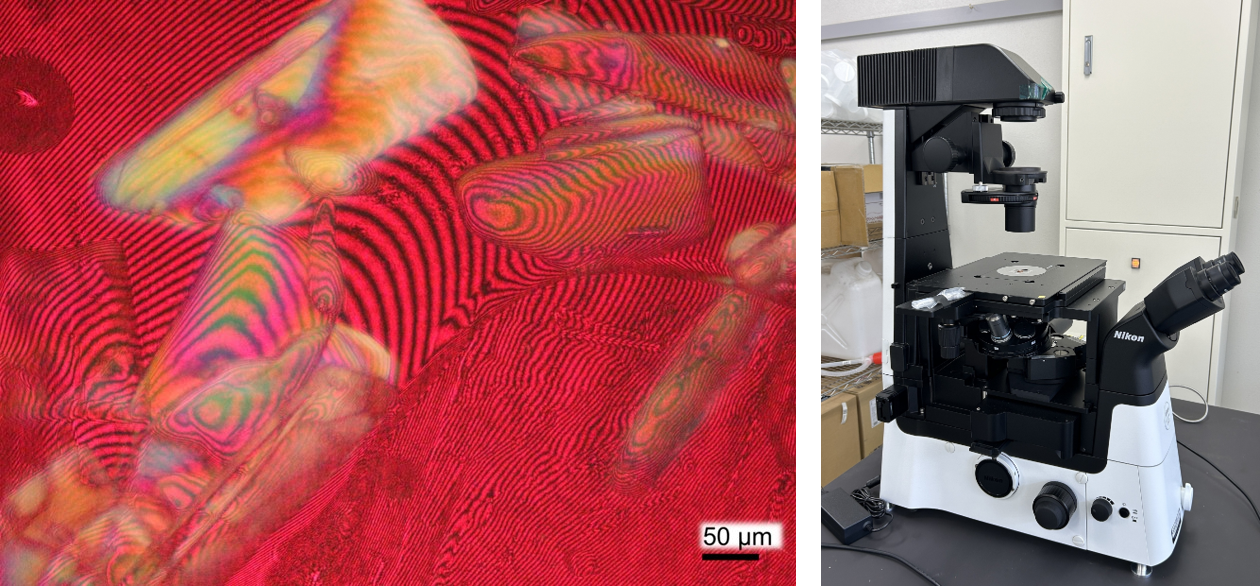 左：干渉計と偏光顕微鏡を組み合わせた光学顕微鏡です。干渉縞の間隔が結晶の高さや水溶液中の濃度分布を示しています。赤色、黄色、青色の偏光色は結晶の厚みの情報を示しています。私たちの研究室でしかできない観察の一つです。
右：いろんな実験で使用できるように最近購入した光学顕微鏡です。新たに改良をしていきます。