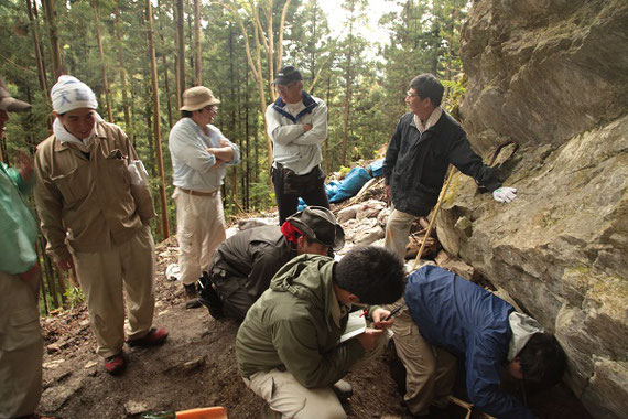 愛媛県上黒岩第２岩陰遺跡発掘調査風景(2018年度） 8000年以上前の縄紋時代早期埋葬人骨がみつかりました。再葬と思われる集積骨葬とい言う特殊な葬制が注目されます。