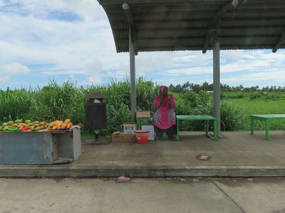 道端で果物を売るインド系フィジー人女性