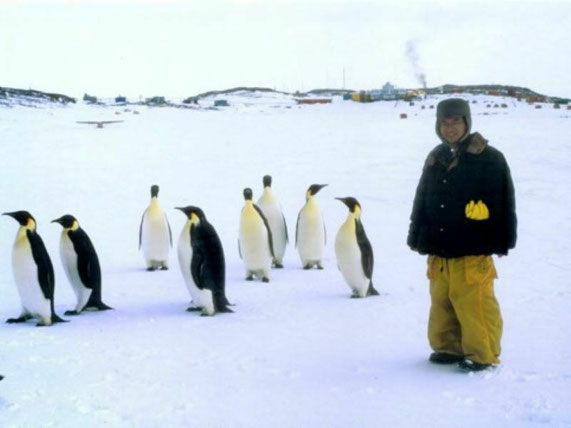 南極昭和基地。学生時代に南極越冬隊として1年間昭和基地に滞在して、オーロラを毎晩観測しました。時々ペンギンが基地を見学しにやってきます。これはコウテイペンギンです。