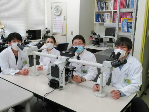 学生実習の風景。このように一緒に顕微鏡の視野を共有しながら指導を行います。