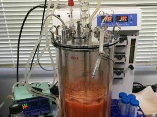 アスタキサンチンやドコサヘキサエン酸などの高機能油脂を生産する微生物の発酵槽