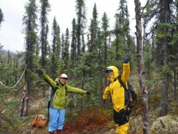 永久凍土上に成立するブラックスプルース林での調査。写っている木は約90年生です。気候変動が肥大成長におよぼす影響を評価します。 2014.9.アラスカ州フェアバンクス