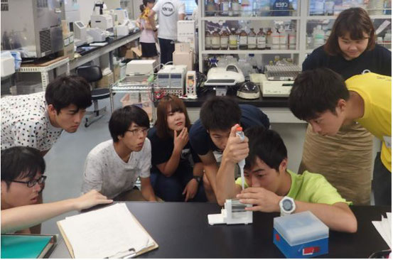 生理学の学生実験。魚類の繁殖に関係するタンパク質を電気泳動という方法で分析します。