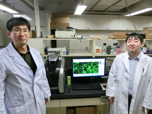 紅林佑希博士(右)との写真です。新しいウイルス検出法の開発は、紅林博士が大学院生時代に多大な貢献を果たし、紅林博士の博士学位論文になりました。研究室内の蛍光顕微鏡の前です。モニター画面に映っている緑色は、新しい方法により検出されたインフルエンザウイルス感染細胞です。