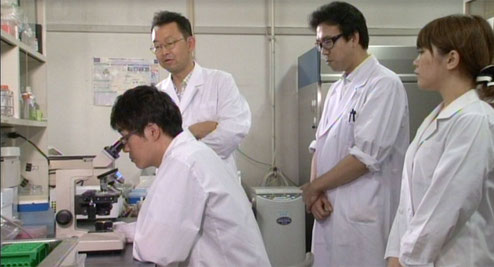 千葉大学大学院医学研究院の研究室で若手研究者を指導している時の様子。